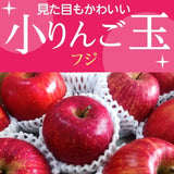りんご 【ひかりグループ】 小玉リンゴ 毎日ちびリンゴ 1ヵ月分チェックシート付 サンふじ 約5kg 24個 山形県 《12/上旬～12/中旬より出荷》