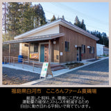 平飼い卵 【こころんファーム養鶏場】 卵 たまご ここたま 50個 朝取 M L LL サイズ混合 3.5kg JGAP 自家配合飼料 地下水 福島県 平飼
