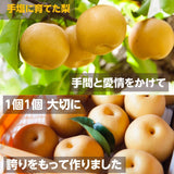 梨 【 乙連沢梨園 】大きい にっこり  4.5kg (900g×5個) 贈答用 プレゼント 栃木県 《10/中旬～10/下旬より出荷》