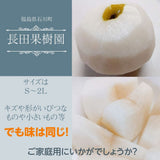 梨 【長田果樹園】 和梨 ５kg ご家庭用 訳あり S以上 18～22個 福島県 《9月中旬の出荷》