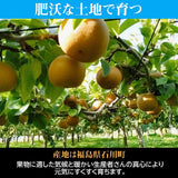 梨 【長田果樹園】 和梨 ５kg ご家庭用 訳あり S以上 18～22個 福島県 《9月中旬の出荷》