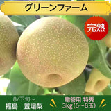 梨 【グリーンファーム】 萱場梨 ３kg  Lサイズ以上　６~8玉 贈答用 福島県 福島市 和梨 《8/下旬～9/上旬より出荷》