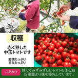中玉トマト　約1.8ｋｇ(450ｇ×４袋）　福島県白河市