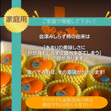 柿 【会津遠藤農園】みしらず柿 御山柿 5kg サイズお任せ 優 家庭用 福島県会津  《11/下旬～12/中旬出荷》