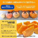 柿 甘柿 【フルーツファームいしくら】 富有柿 皇室献上の味 広瀬の柿 約2㎏ 小 12～15個 ご家庭用 山梨県笛吹市 種なし かき《10/下旬～11/上旬の出荷》