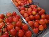 さくらんぼ 【鈴木農園】 佐藤錦 1kg L～２L 贈答 山形県東根市 《6/中旬～6/下旬の出荷》