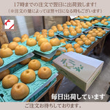 梨 【乙連沢梨園】大きい にっこり 大ビッグサイズ 5kg (1kg×5個) 贈答用 栃木県 《10/上旬～10中旬より出荷》