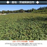 【村田農園】干し芋　丸干し　1kg(500g×2袋)　贈答用　茨城県