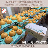 梨 【 乙連沢梨園 】大きい にっこり  1.8kg (900g×2個) 贈答用 プレゼント 栃木県  《10/中旬～10/下旬より出荷》