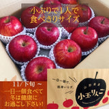 りんご 【ひかりグループ】 小玉リンゴ 毎日ちびリンゴ 1ヵ月分チェックシート付 サンふじ 約5kg 24個 山形県 《12/上旬～12/中旬より出荷》