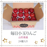 りんご 【ひかりグループ】 小玉リンゴ 毎日ちびリンゴ 1ヵ月分チェックシート付 サンふじ 約5kg 24個 山形県 《12/上旬～12/中旬より出荷》