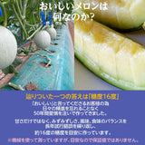 メロン 【メロンの村田】 クインシーメロン 2玉 3L～4L 糖度16前後 贈答用 父の日 茨城県鉾田市 《5/下旬～6/上旬より出荷》