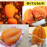 干し柿 【種まきうさぎ】 五十沢 あんぽ柿 310g 家族セット(中2個・小3個) 家庭用 ポスト投函 福島県伊達 《1/中旬より出荷》