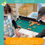 平飼い卵 【こころんファーム養鶏場】 卵 たまご ここたま 30個 朝取 M L LL サイズ混合 2.1kg JGAP 自家配合飼料 地下水 福島県 平飼