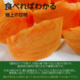 柿 甘柿 【フルーツファームいしくら】 富有柿 皇室献上の味 広瀬の柿 約2㎏ 小 12～15個 ご家庭用 山梨県笛吹市 種なし かき《10/下旬～11/上旬の出荷》