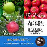 りんご　5ｋｇ　贈答・ギフト用　Ｌサイズ秀　12～16玉（王林14～18玉）