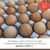 平飼い卵 【こころんファーム養鶏場】 卵 たまご ここたま 30個 朝取 M L LL サイズ混合 2.1kg JGAP 自家配合飼料 地下水 福島県 平飼