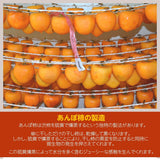 干し柿 【種まきうさぎ】 五十沢 あんぽ柿 700g 大サイズ7～10個 化粧箱 贈答 福島県 伊達 《12/15頃～12/下旬より出荷》