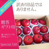 りんご 【ひかりグループ】 小玉リンゴ 毎日ちびリンゴ 1ヵ月分チェックシート付 サンふじ 約5kg 24個 山形県 《12/上旬～12/中旬より出荷》
