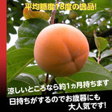 柿 【会津遠藤農園】みしらず柿 御山柿 5kg 5L 12個 秀 贈答用 福島県会津 《11/下旬～12/中旬出荷》