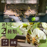 天然の純粋蜂蜜　アカシア・百花蜜　300ｇ×４本入り 福島県