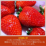 いちご 【やいた里山いちご園】苺 とちあいか 大玉 280g×2パック 栃木県矢板市 《1/上旬～出荷開始》