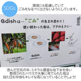 【ふるや農園】苺　とちおとめ　中玉40粒(20粒×2パック)　翌日配送エリア限定　福島県