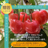 さくらんぼ 【一愛農園】 佐藤錦 1kg 秀 ２L  山形県東根市《6/中旬～6/下旬の出荷》