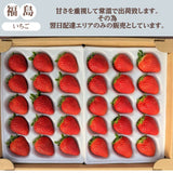 【ふるや農園】苺　とちおとめ　中玉40粒(20粒×2パック)　翌日配送エリア限定　福島県