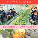 メロン 【メロンの村田】 アンデスメロン 2玉 3L～4L 糖度16前後 贈答用 母の日 茨城県鉾田市 《5/上旬～5/中旬より出荷》