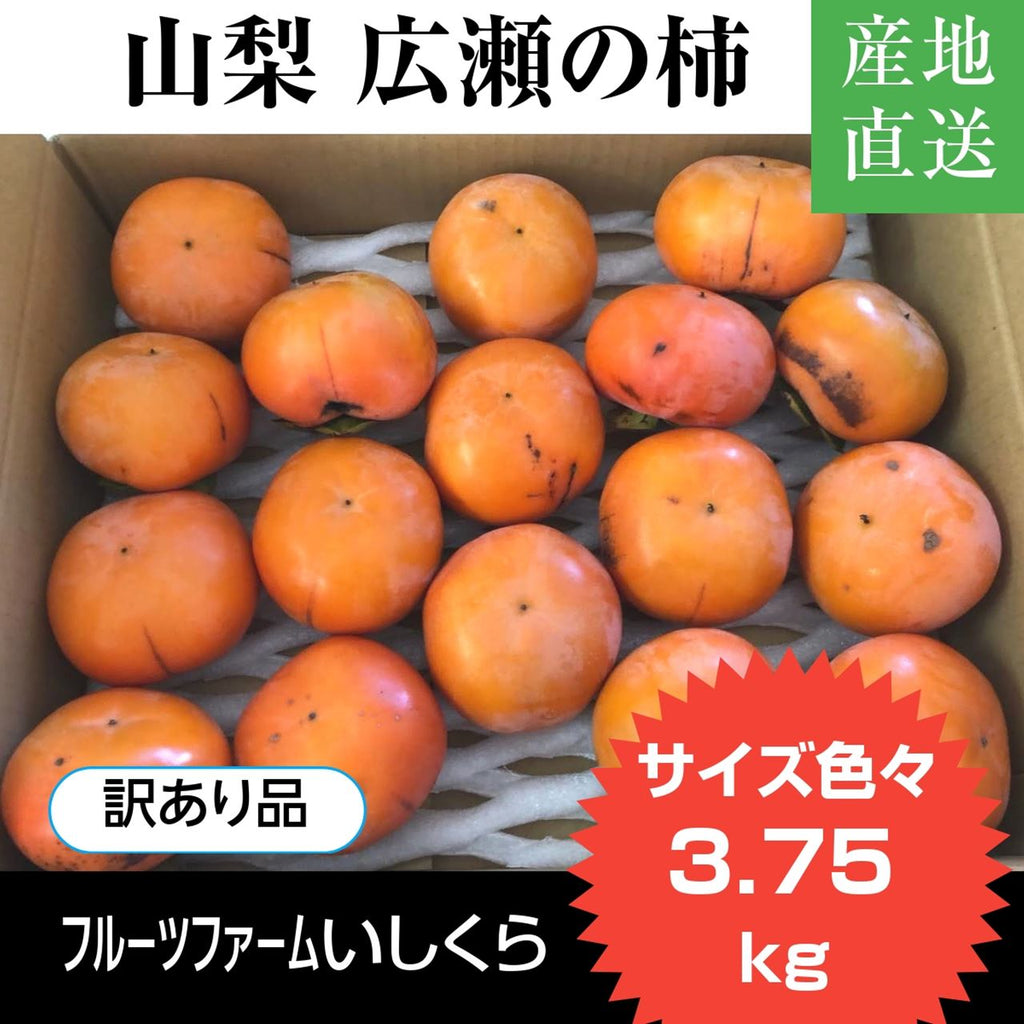 柿 甘柿 【フルーツファームいしくら】富有柿 広瀬の柿 3.75kg 訳あり品・ご家庭用  山梨県笛吹市 種なし かき《11/上旬～11/中旬の出荷》