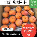 柿 甘柿 【フルーツファームいしくら】富有柿 広瀬の柿 3.75kg 訳あり品・ご家庭用  山梨県笛吹市 種なし かき《11/上旬～11/中旬の出荷》
