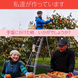 柿 【会津遠藤農園】みしらず柿 御山柿 5kg サイズお任せ 優 家庭用 福島県会津  《11/下旬～12/中旬出荷》
