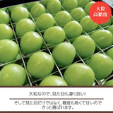 ぶどう 【ﾌﾙｰﾂﾌｧｰﾑいしくら】 葡萄 宝石箱 シャインマスカット 36粒 約900g 大粒 高糖度 山梨県 贈答 記念日 プレゼント《8/10日頃～8/中旬からの出荷》