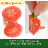 中玉トマト　約1.8ｋｇ(450ｇ×４袋）　福島県白河市