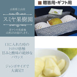 洋梨 【スミヤ果樹園】 洋なし ラ・フランス 約1.8kg ジャンボサイズ6L～８L 特秀 3玉 大玉 贈答用 山形県上山市 ラフランス 《11/上旬～11/中旬より出荷》