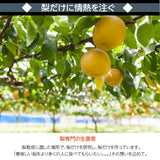 梨 【 乙連沢梨園 】 5kg 10～14個 贈答用 プレゼント 栃木県 《9/上旬〜9/中旬より出荷》