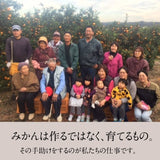 みかん 【昇果園】 サイズ不揃い 10kg 約80～120個 家庭用 無選別 静岡県 浜松市 蜜柑 ミカン 《11/上旬～11/中旬・12/中旬の出荷》