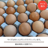 平飼い卵 【こころんファーム養鶏場】 卵 たまご ここたま 40個 朝取 M L LL サイズ混合 2.8kg JGAP 自家配合飼料 地下水 福島県 平飼