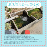 柿 甘柿 【フルーツファームいしくら】 富有柿等 皇室献上の味 広瀬の柿 4kg 3L 13個 山梨県笛吹市 種なし かき《10/下旬～11/上旬の出荷》