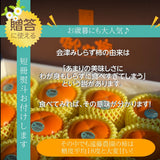 柿 【会津遠藤農園】みしらず柿 御山柿 3.5kg 5L 9個 特秀 化粧箱 贈答用 お歳暮 御歳暮 福島県会津《11/下旬～12/中旬出荷》