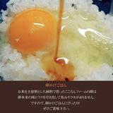 平飼い卵 【こころんファーム養鶏場】 卵 たまご ここたま 50個 朝取 M L LL サイズ混合 3.5kg JGAP 自家配合飼料 地下水 福島県 平飼
