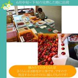 さくらんぼ 【一愛農園】 佐藤錦 700g 秀 ２L  山形県東根市《6/中旬～6/下旬の出荷》