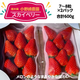【小野崎農園】スカイベリー　平パック14～16粒（大玉7～8個×2パック）約600g