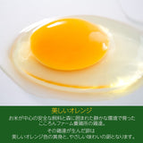 平飼い卵 【こころんファーム養鶏場】 卵 たまご ここたま 40個 朝取 M L LL サイズ混合 2.8kg JGAP 自家配合飼料 地下水 福島県 平飼