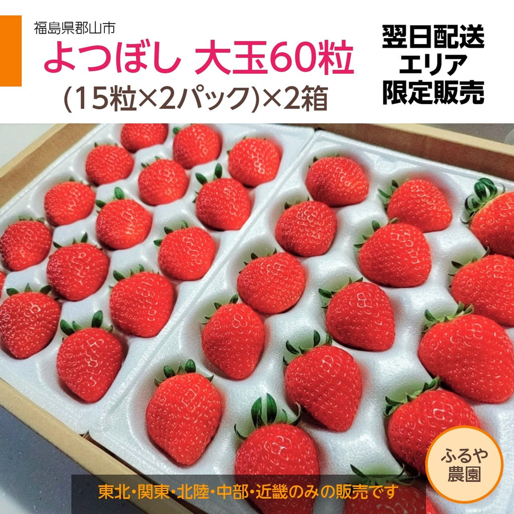 【ふるや農園】苺　よつぼし　大玉60粒(15粒×4パック)　翌日配送エリア限定　福島県