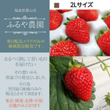【ふるや農園】苺　とちおとめ　中玉40粒(20粒×2パック)　翌日配送エリア限定　福島県