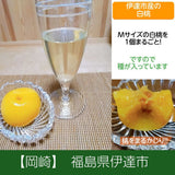 桃 コンポート【岡崎】 まるごと桃 Mサイズももの蜜漬け 6個  福島県産