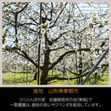 さくらんぼ 【一愛農園】 佐藤錦 1kg 秀 ２L  山形県東根市《6/中旬～6/下旬の出荷》