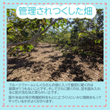 柿 甘柿 【フルーツファームいしくら】 富有柿 皇室献上の味 広瀬の柿 7.5kg ２L 28個 贈答用 山梨県笛吹市 種なし かき《10/下旬～11/上旬の出荷》